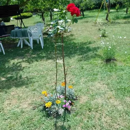 Apartman Lika Quiet Srb